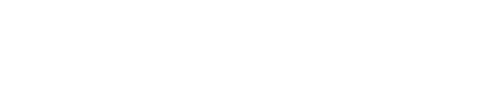 Logo Skin Booster White